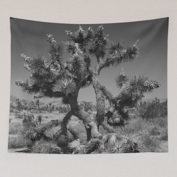 Item preview, Joshua Tree Photo at Joshua Tree National Park CA V4 designed and sold by Family Journey with God.