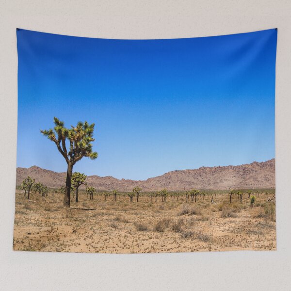 Item preview, Photo of Joshua Tree National Park Forest V1 designed and sold by Family Journey with God.