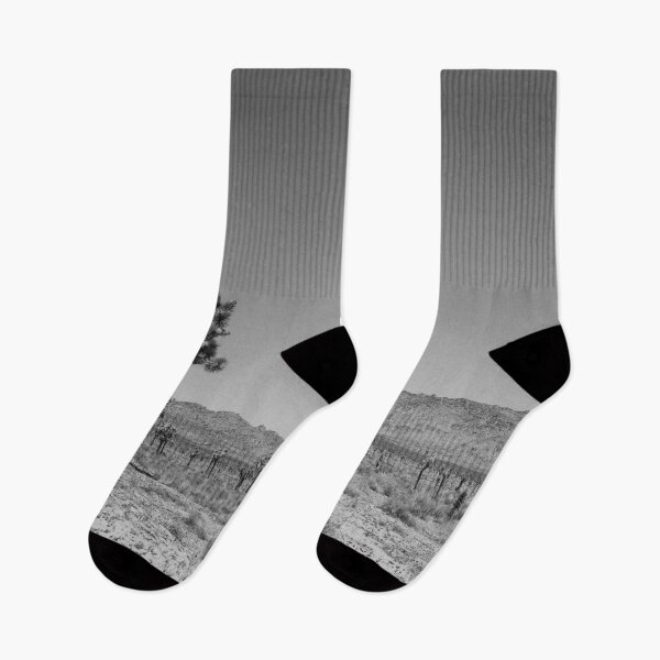 Item preview, Photo of Joshua Tree National Park Forest V4 designed and sold by Family Journey with God.