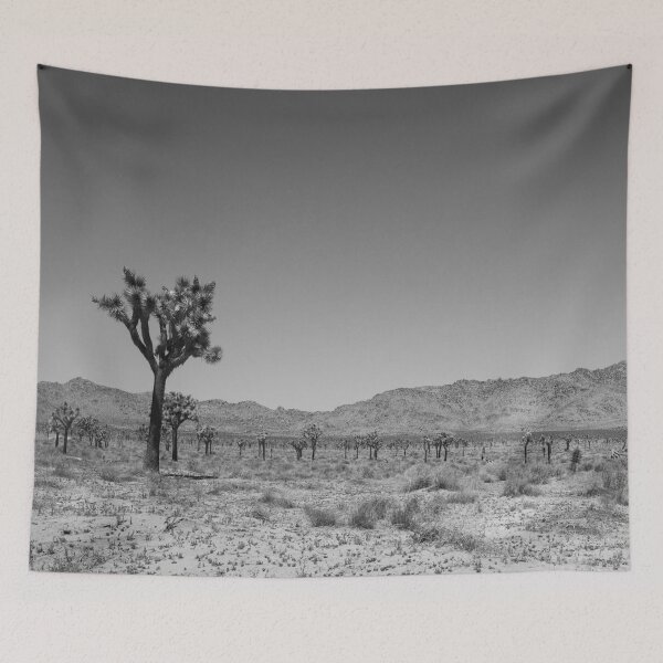 Item preview, Photo of Joshua Tree National Park Forest V4 designed and sold by Family Journey with God.