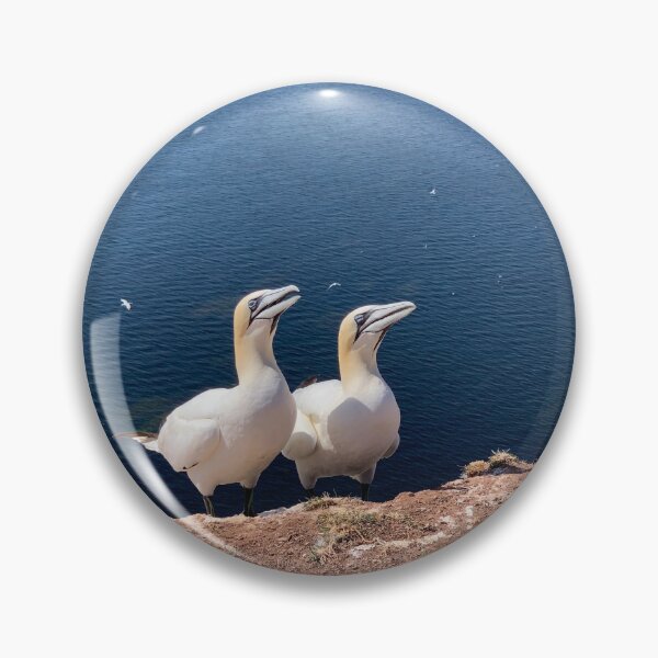 Item preview, Gannets on Helgoland designed and sold by Binas-gallery.