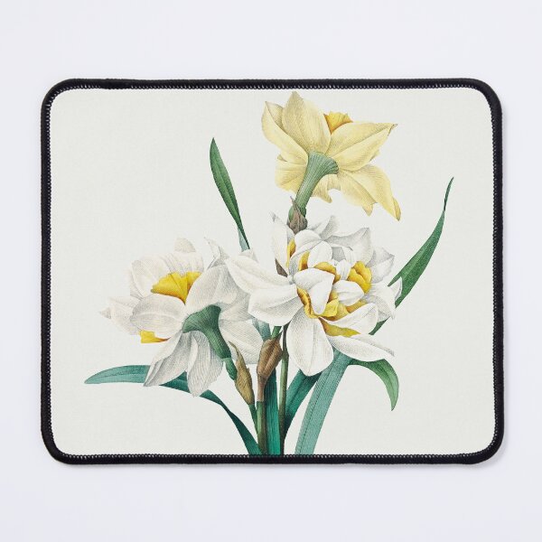 Item preview, Double Daffodil Bouquet Vintage Illustration by Pierre-Joseph Redouté designed and sold by Pretty  Pixel.