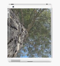 Blue Skies 017 iPad Case/Skin