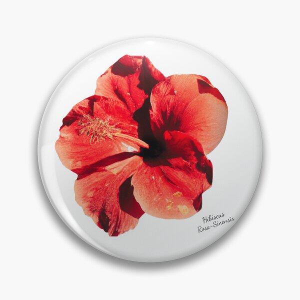 Item preview, Flor Hibiscus designed and sold by RAndG.