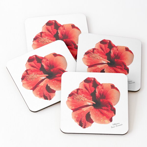 Artikelvorschau, Hibiskus entworfen und verkauft von RAndG.