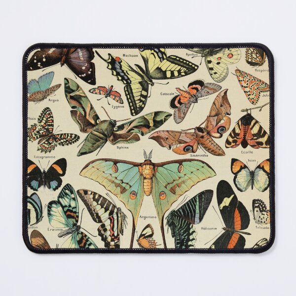 Item preview, Butterflies (1907-1910) - Le Larousse pour tous designed and sold by SALON DES ARTS.