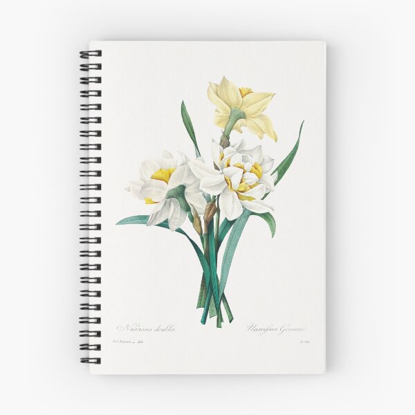 Item preview, Double Daffodil Bouquet Vintage Illustration by Pierre-Joseph Redouté designed and sold by Pretty  Pixel.