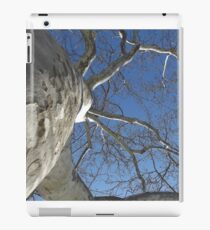 Blue Skies 019 iPad Case/Skin