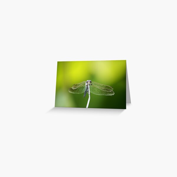Waiting Greeting Card
