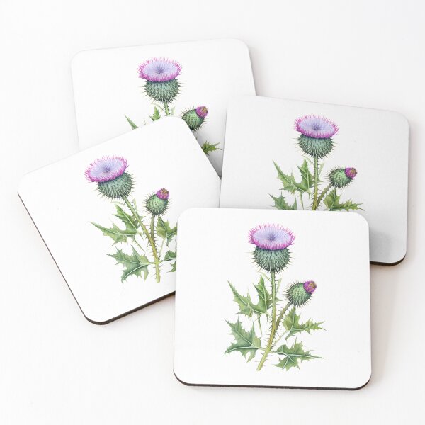 Item preview, Scottish thistle flower designed and sold by iclipart.