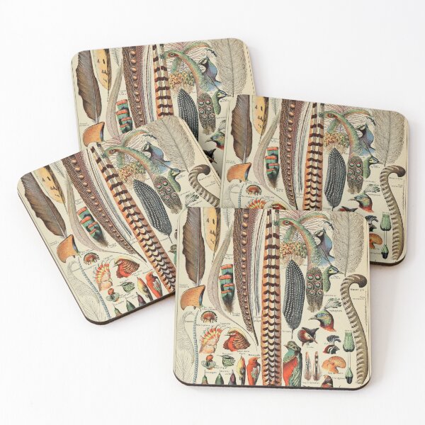 Item preview, Feathers (1907-1910) - Le Larousse pour tous designed and sold by SALON DES ARTS.
