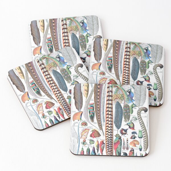 Item preview, Feathers (1907-1910) - Le Larousse pour tous designed and sold by SALON DES ARTS.