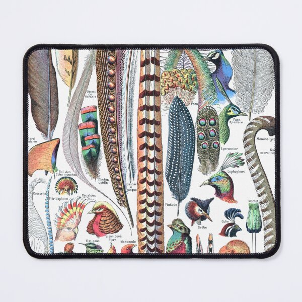 Item preview, Feathers (1907-1910) - Le Larousse pour tous designed and sold by SALON DES ARTS.