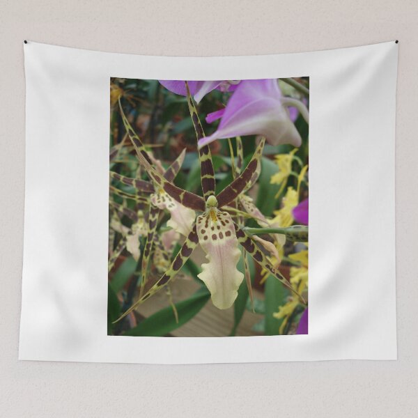 Item preview, Speckled Bird - Beauty in form and color designed and sold by May Lattanzio.