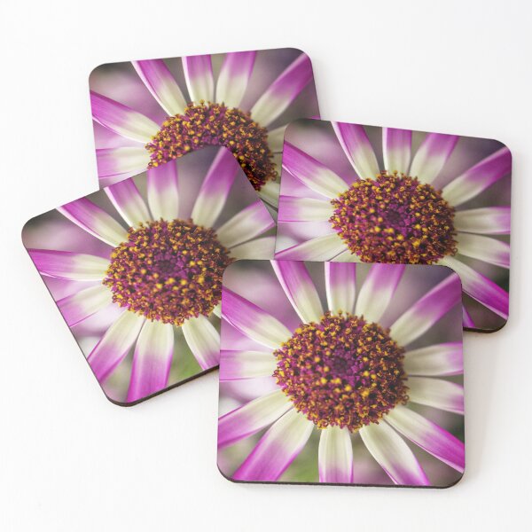 Item preview, Starburst designed and sold by CJWoolhead.