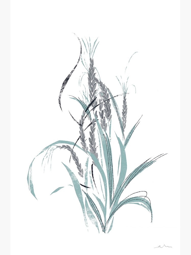 Rice Plant Graphic Vector & Photo (Free Trial) | Bigstock
