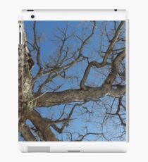 Blue Skies 025 iPad Case/Skin