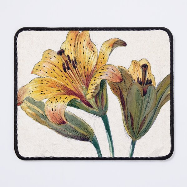 Item preview, Yellow and White Lilies | Willem van Leen designed and sold by LaMadeleine.