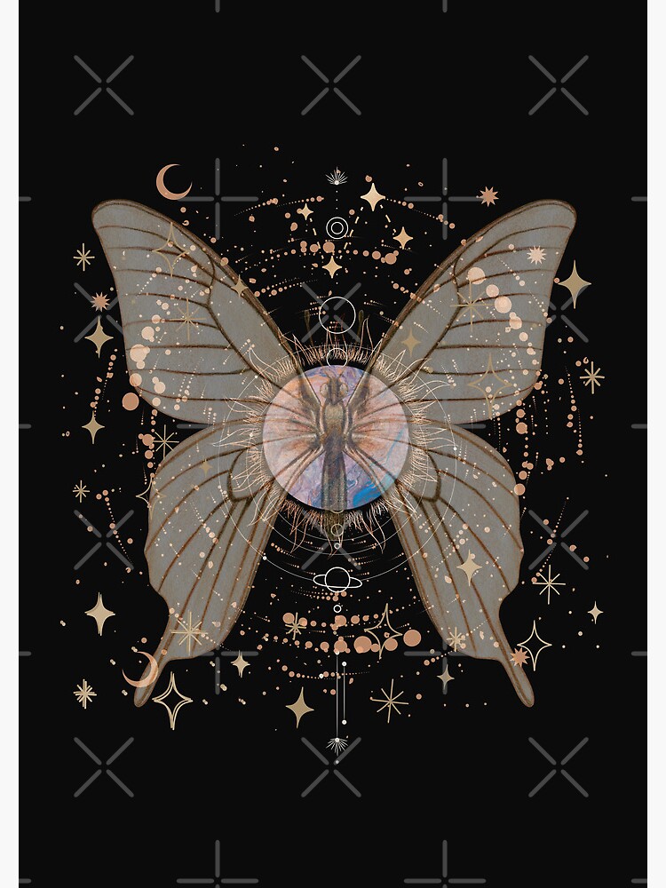Fairy Grunge Aesthetic Fairycore Butterfly Lunar Moth
