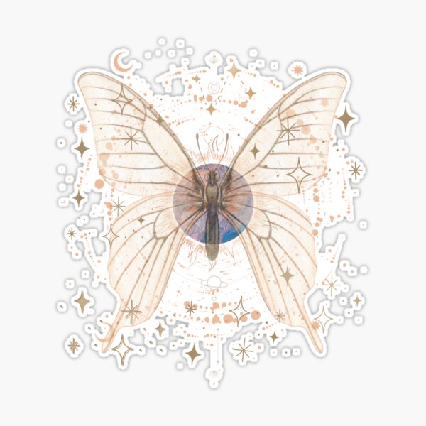 st,large,507x507-pad,600x600,