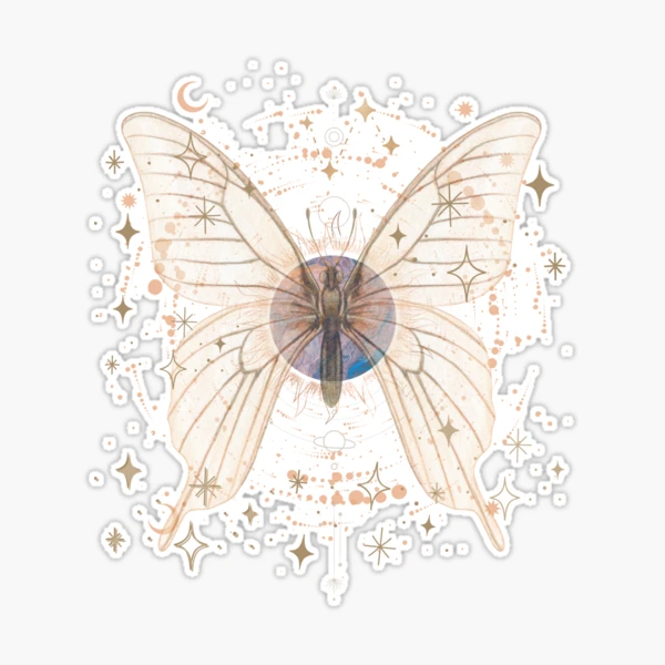 st,large,507x507-pad,600x600,