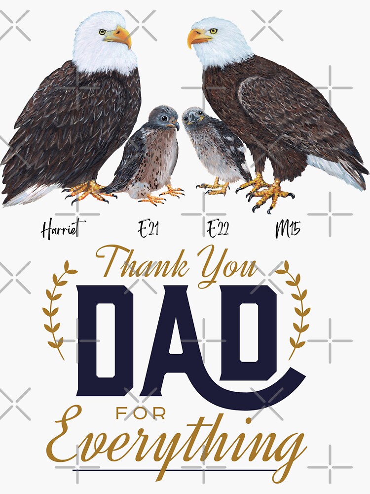 Happy Father's Day - Bald Eagle M15 Art Sticker for Sale by Tiffany Roy