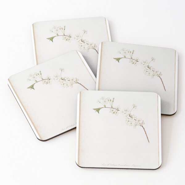 Item preview, Vintage flower wildflower aesthetic designed and sold by joroooart.