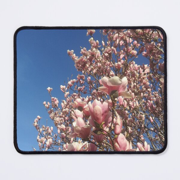 Artikelvorschau, Magnolienblüten entworfen und verkauft von Flyaways.