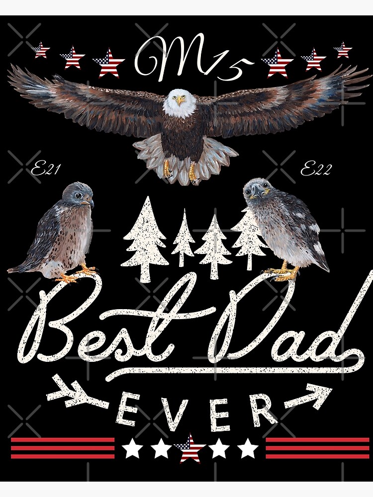 Happy Father's Day - Bald Eagle M15 Art Sticker for Sale by Tiffany Roy