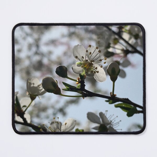 Item preview, plum blossom designed and sold by Binas-gallery.