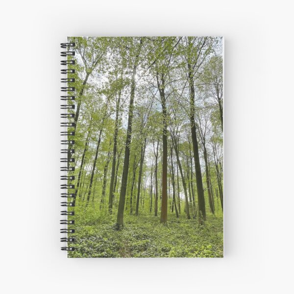 Aperçu de l'œuvre Lyons-la-Forêt créée et vendue par Alex Cassels.
