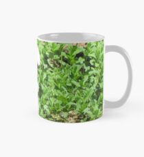 Maryline in mint Mug