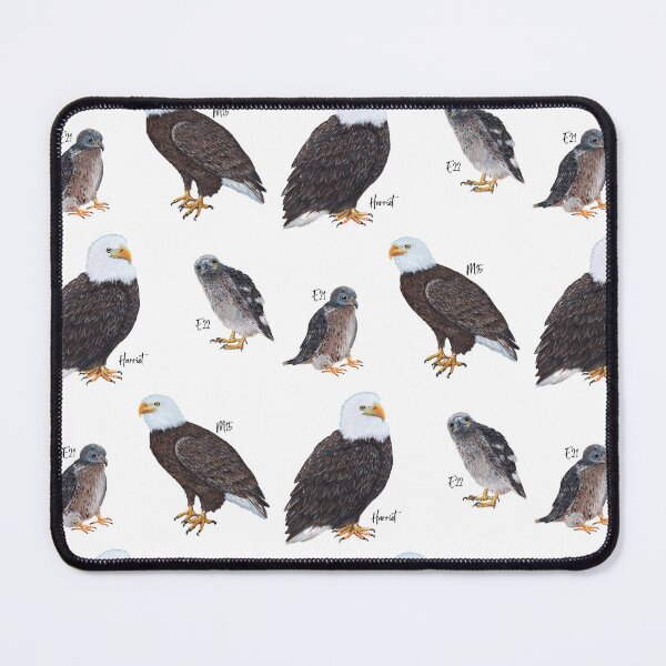 Item preview, SWFL Bald Eagle Family Art designed and sold by Roy & Tiffany.