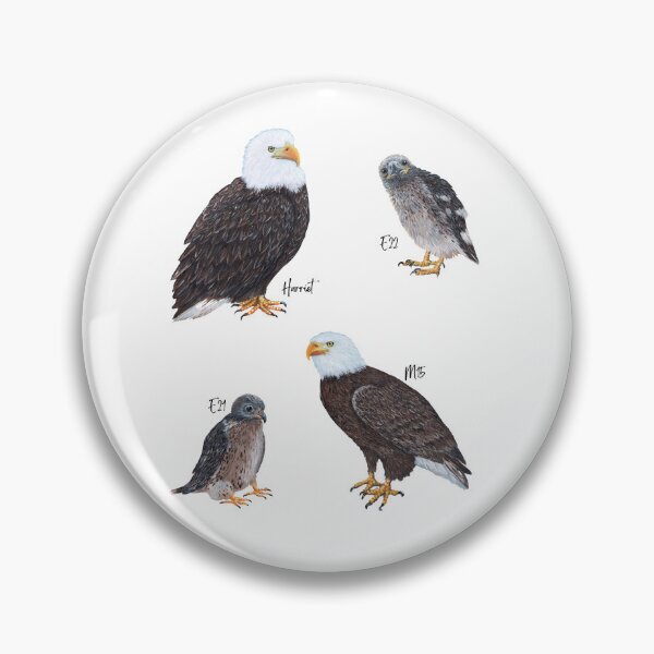 Item preview, SWFL Bald Eagle Family Art designed and sold by Roy & Tiffany.