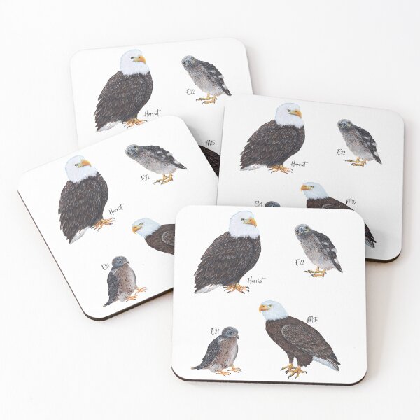 Item preview, SWFL Bald Eagle Family Art designed and sold by Roy & Tiffany.