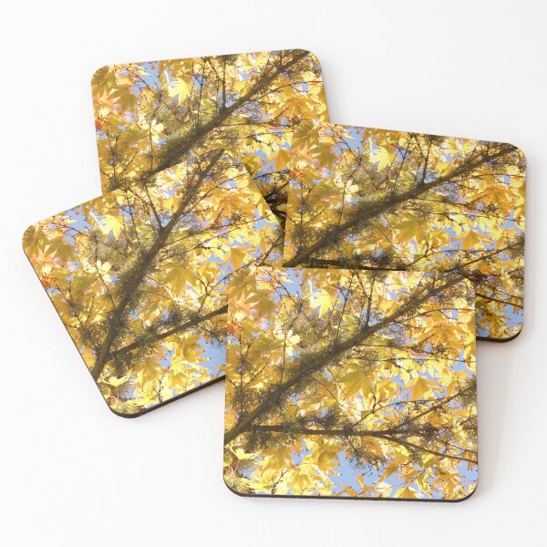 Item preview, Late Summer Acer Palmatum Vertical Golden Garden designed and sold by eddiebarronshop.