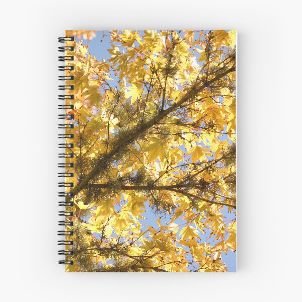 Item preview, Late Summer Acer Palmatum Vertical Golden Garden designed and sold by eddiebarronshop.