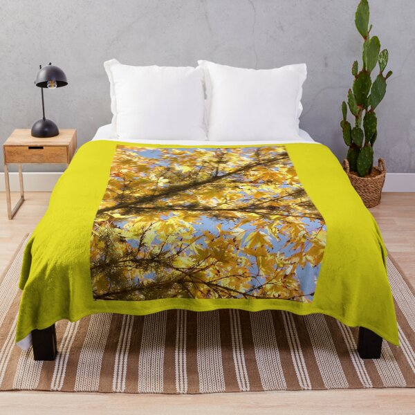 Item preview, Late Summer Acer Palmatum Vertical Golden Garden designed and sold by eddiebarronshop.