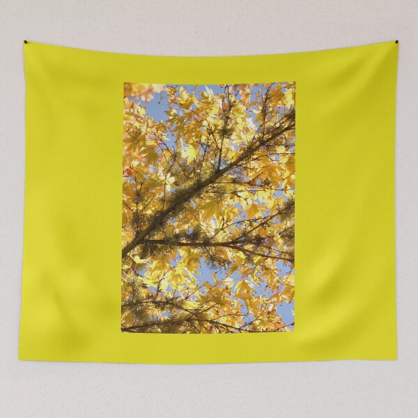 Item preview, Late Summer Acer Palmatum Vertical Golden Garden designed and sold by eddiebarronshop.