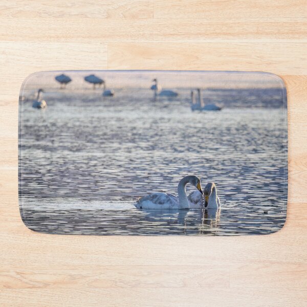 Item preview, Young love. Whooper swan designed and sold by Jouko Lehto Photography.