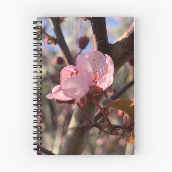 Item preview, plum blossom designed and sold by Binas-gallery.
