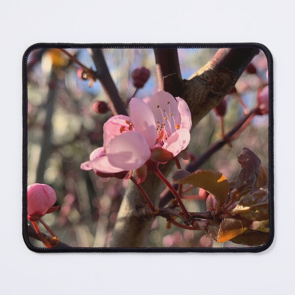 Item preview, plum blossom designed and sold by Binas-gallery.