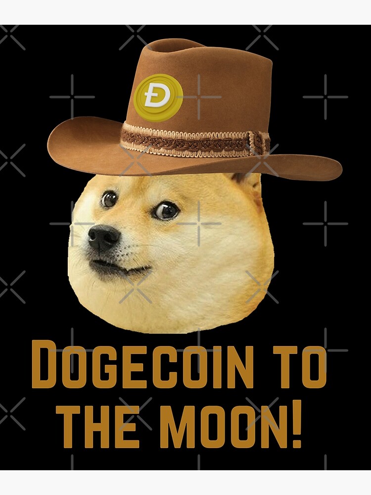 Shiba inu hotsell cowboy hat