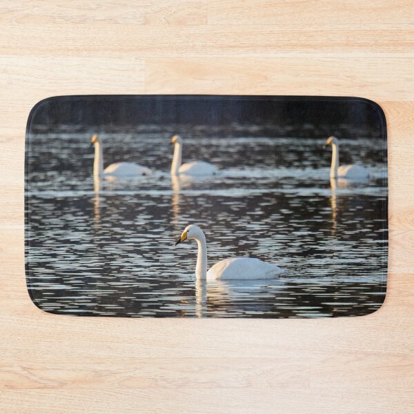 Item preview, 1 plus 3. Whooper swan designed and sold by Jouko Lehto Photography.