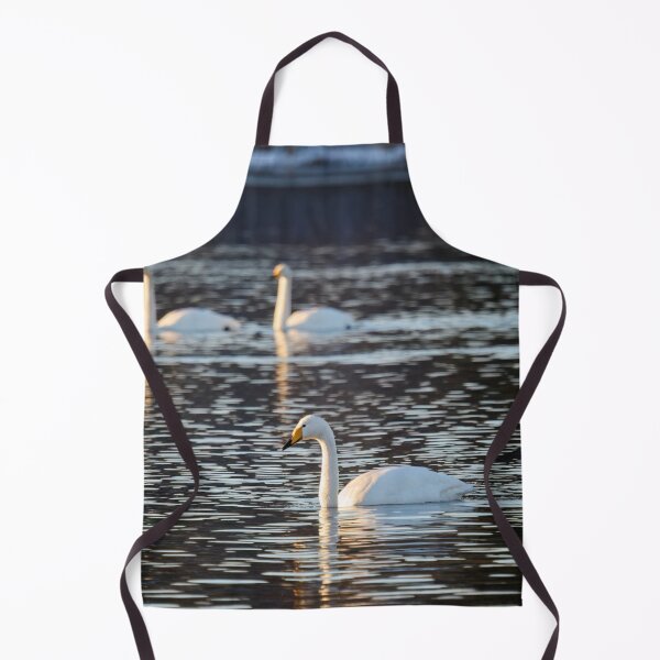 Item preview, 1 plus 3. Whooper swan designed and sold by Jouko Lehto Photography.