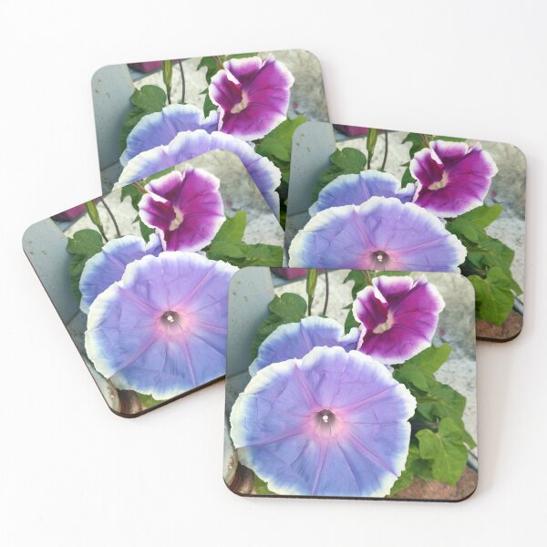 Item preview, morning glory designed and sold by Gourmetkater.
