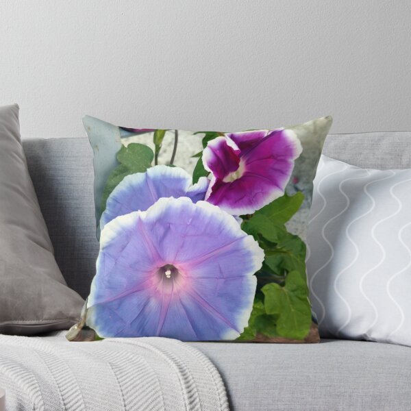 Item preview, morning glory designed and sold by Gourmetkater.
