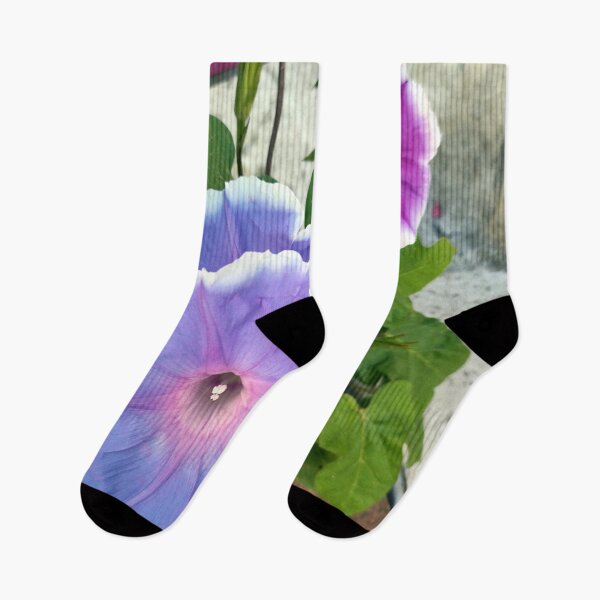 Item preview, morning glory designed and sold by Gourmetkater.