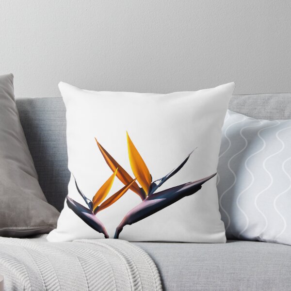 Item preview, Strelitzia - la flor del ave del paraíso designed and sold by RAndG.