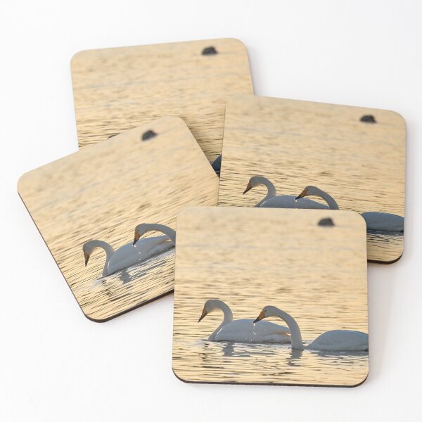 Item preview, Whooper swans in the evening light designed and sold by Jouko Lehto Photography.
